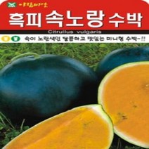 AR 흑피 속노랑수박 미니형 수박 씨앗, 1개