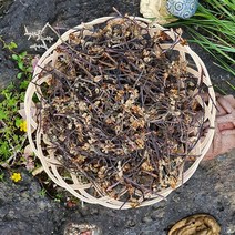 [제주 한라산] 국내산 제주도 건고사리 제주고사리, 1팩, 600g