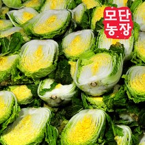 [모단농장]괴산절임배추 20kg/배추작황풍년(6~9포기), 12월 14일발송-15일도착