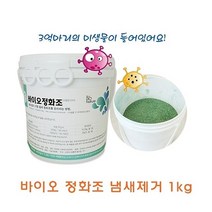 바이오정화조 냄새제거 1kg-72394EA kianlove7979*22179564Ga, 본상품선택
