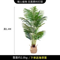 인조 바나나나무 인조목 모조 야자 관엽 휴양지 식물