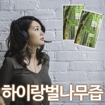 벌나무즙 벌나무진액 50포, 50개, 80ml
