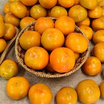 맛좋은 밀양의자랑 햇 부유단감 특(5kg 17-20과), 특5kg 17-20과, 상세페이지 참조
