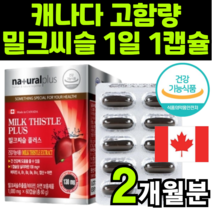캐나다 케나다 SILYMARIN MILKTHISTLE EXTRACT 밀크시술 실리마린 밀크씨슬 익스트랙트 추출물 고함량 최대함량 건강 기능 보조 식품 보충제 보조제 추천, 1박스(2개월분)