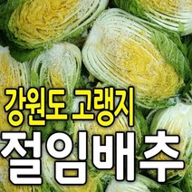 고랭지강원도절임배추 추천 순위 TOP 20 구매가이드
