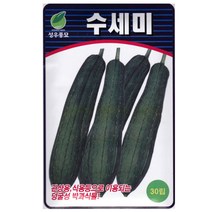 수세미씨앗 30립, 수세미