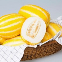 성주 고당도 꿀 정품 참외 2kg 3kg 5kg 10kg 산지직송 못난이 꼬마 제철과일, 미니 성주참외 4.5kg (25~35과)