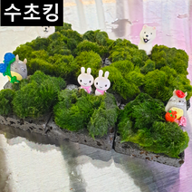 [수초킹] 모스볼 화산석 활착판 5x5 8x8 피규어/ 수초맛집 초보수초 새우놀이터 구피키우기 구피어항 구피 새우 모스 모스볼 수초농장 수초도매 구피수초 구피어항 새우수초 인기수초, 5x5 피규어 없게