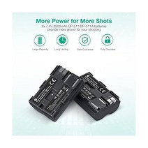 FirstPower 캐논 EOS 5D 10D 20D 30D 40D 50D 300D D30 D60 이상 카메라용 퍼스트 파워 BP511 BP511a 배터리 2팩 2200mAh 및 듀
