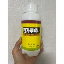 흰가루병 오이 호박 딸기 수박 메론 토마토 세균성 흰가루박사500ml, 1개