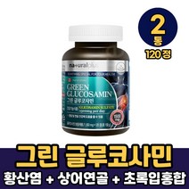 그린 글루코사민 황산염 비타민 초록입홍합 상어연골 분말 함유 캡슐 정타입 먹는방법, 2통, 120정