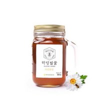올데잇 [거창북부농협] 100%국산 농협 하성벌꿀(캐닝머그잔/잡화) 550g 1병