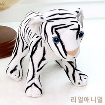 GBW7CB62D 대형 곰소형 어린이 장난감 애착 곰중형 곰 토이 백호 생일 리얼애니멀 쿠션 모찌애착 완구 애완용품 동물 선물 크리스마스 인형 바디필로우 곰대형 호랑이 애완 애착만들기 친구들 f-01114 봉제인형