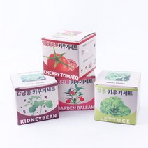 지피포트 키우기세트 봉선화 방울토마토 상추 강낭콩_ 94590EA