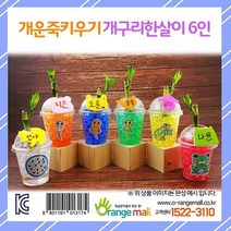 오렌지몰 공기정화 개운죽키우기 개구리한살이 6인용 텃밭가꾸기세트 베란다텃밭DIY