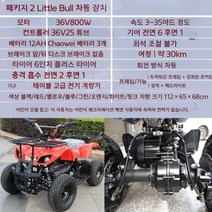 사륜바이크 농업용 사발이 노인전동차 오토바이 사륜, 패키지2전기작은황소차동