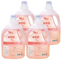 보드란 핸드워시 4L 4개 한박스 대용량 물비누, 1박스