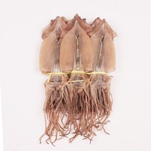어부의 장바구니 마른오징어 울릉도 근해 어획 동해 건조 마른오징어 20미(2.0kg) 15미(1.5kg) 10미(1.0kg) 5미(500g)