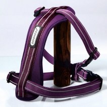 골드샴푸 프로랄머스크향 750ml 말티푸 애견샴푸 강아지목욕용품 포메라니안 슈나우저, 1개, XS 퍼플