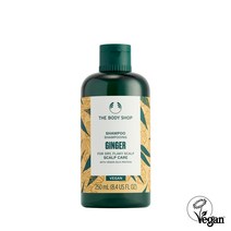 더바디샵 진저 스캘프 케어 샴푸 250ML