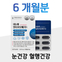 내눈에 알티지 오메가3 루테인 마리골드 꽃 추출물 rTG 오메가쓰리 혈중 중성지질 혈액순환 혈관건강 혈행개선 건조한 눈 촉촉 눈침침 눈건강 도움 황반색소밀도 시각적응 항산화, 6박스, 1200mg x 30캡슐 (하루 1캡슐)