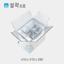 설곽 종이 아이스박스 6호 20개입, 20개