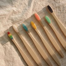알록달록 컬러 미세모 대나무 칫솔 7color [부드러운 제로웨이스트 밤부 생분해 치솔 우드 나무 제품], 민트