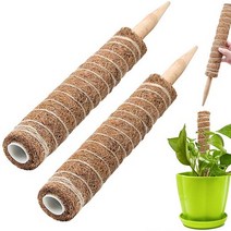 몬스테라 식물 화분 지지대 수태봉 코코봉 코코넛봉 지주대, 수태봉 50cm