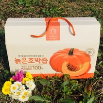 나애게 전남무안 늙은 호박즙100mlx90팩, 단품없음, 선택완료
