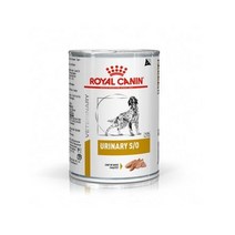 로얄캐닌 독 유리너리 S/O 캔 410g 12개 1박스 습식 처방사료