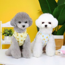 오늘뭐입냥 강아지 시원한 아기곰 여름옷 티셔츠 고양이옷 실내복 애견옷, [아가곰] 엘로우