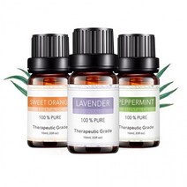 5가지 에센셜 오일 향 천연아로마오일 DT 10990 아로마 라벤더오일 천연오일 10ml, 자스민