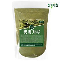 국내산 뽕잎가루 파우더 300g 뽕나무잎가루 상엽분말, 뽕잎가루 300gx1팩