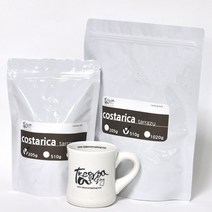 테이크아웃로스팅 코스타리카 따라주 (분쇄선택)200g 500g 뉴크롭 스페셜 원두, 200g, 분쇄안함(홀빈)