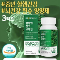 수험생 필수 영양제 기억력 뇌 건강 혈행개선 에너지 비타민B GINKGOBILOBA 플라보노이드 징코라이드 프라보놀 진놀 팔라티노스 은행추출물 징코빌로바 집중력 뇌건강 두뇌건강