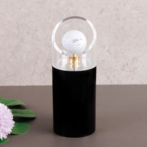 골프공 홀인원 기념품 원형 대형 케이스 보관함, 원형(대)_7.5x19.5cm, 1개