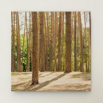 아트박스/꾸밈 bh264-캔버스액자30x30_평온한소나무숲