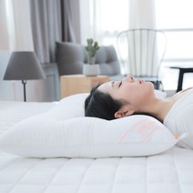 포그니 노빌리티 기능성 항진드기 경추 베개솜 40x60 50x70