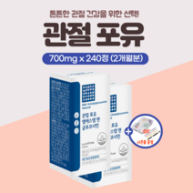 프리미엄 관절 영양제 MSM 엠에스엠 글루코사민 무릎 손가락 마디 어깨 에 좋은 손목 관절엔 연골 건강 엔 골다공증 도움 남성 여성 여자 예방 40대 50대 60대 갱년기 약1개월, 2개(240정)