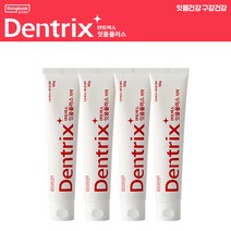 [덴트릭스 입문구성] 덴트릭스 잇몸플러스치약160g 4개