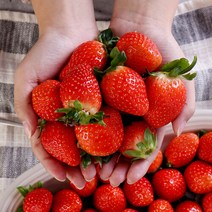 다농이네 산지직송 산청 딸기 1kg 상품, 1