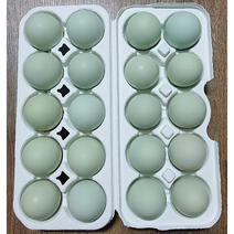 청란 난각번호1번 산지직송 자연방목 청란 청계란 유정란 식용란 [20란 30란 40란] 동애등에 강황 법제유황 게르마늄 황토 계피분말 코코넛분말, 20개, 40g
