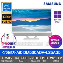 삼성전자 올인원PC DM530ADA-L25AG5 WIN11 PRO/펜티엄골드/G7505/삼성RAM 32GB/삼성NVMe 1TB/HDD 2TB/사무용/업무용/일체형/컴퓨터/PC