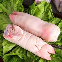 한송푸드 영양만점 통 돼지족발(앞발) 4개 돼지족 미니족발 돼지장족 불족발 양념족발 마라족발, 0.45kg