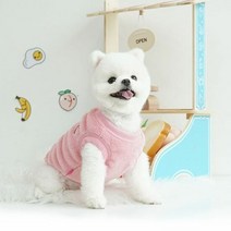패리스독 패리스프렌즈 강아지옷, 민트