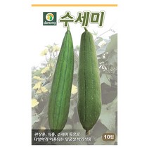 채심 5g 채심씨앗 채심씨 차이신 초이섬 순무 꽃채소 야채씨 야채씨앗 채소씨 채소씨앗, 14_다농_수세미(10립)