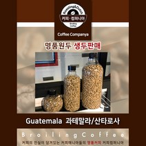 명품원두 과테말라 산타로사 생두 500g, 1개