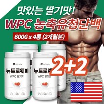 코스트코 단백질 쉐이크 프로틴 여자 남자 벌크업 운동보조제 딸기맛 초코맛 농축유청단백질 분말 가루 필수아미노산 비타민, 600g, 4통(딸기맛)