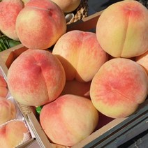 황도복숭아 4kg 국내산 말랑이 황도 (특품)