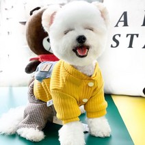 강아지 올인원 원피스 명품 유치원복 교복 비숑 봄옷 테디 비숑 독 스트라이프 네발 코트